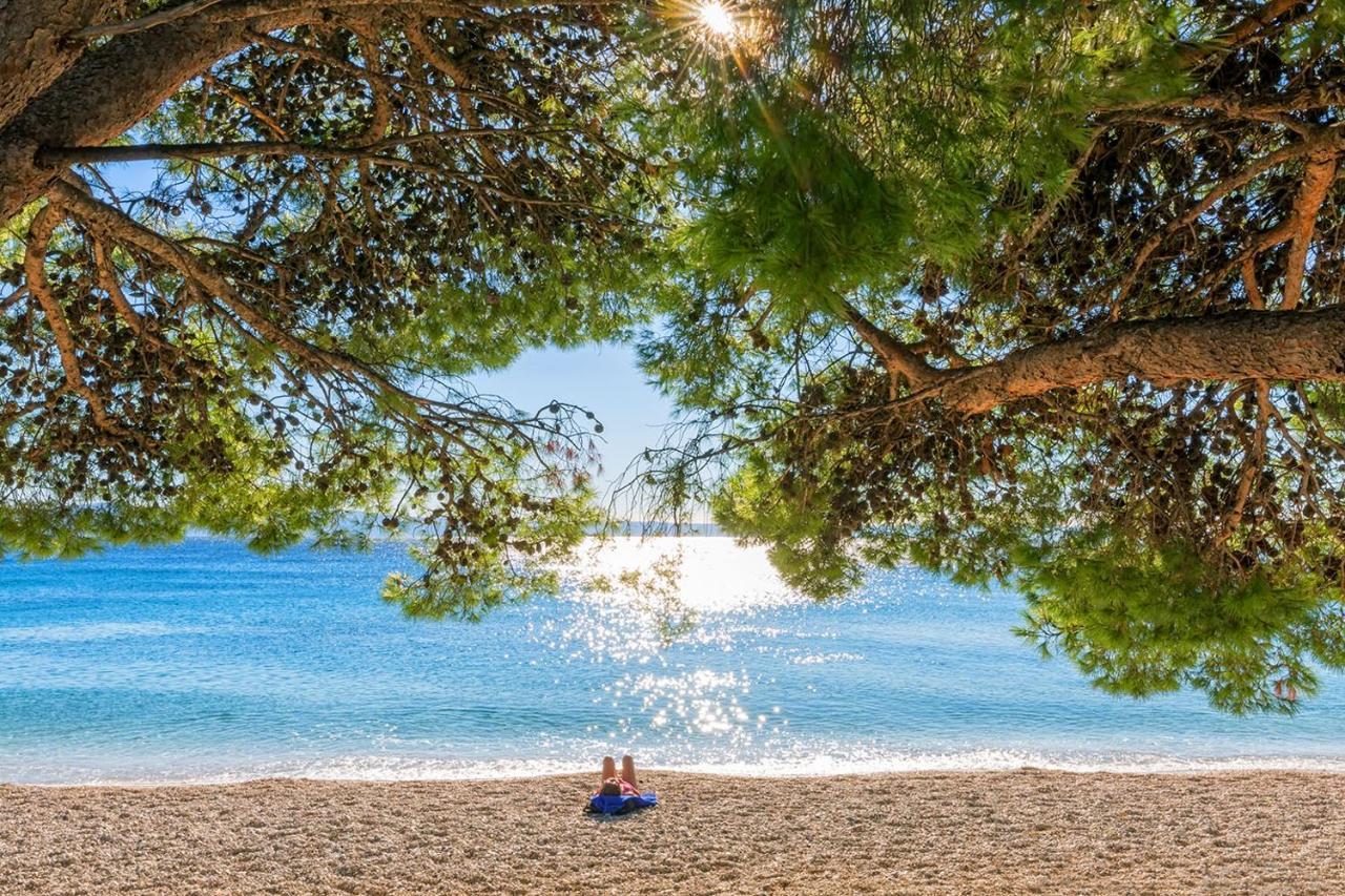 Villa Bougenvilia Tomas Tučepi エクステリア 写真